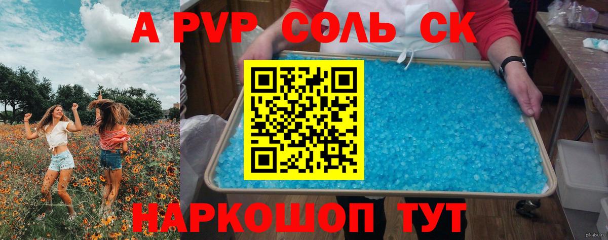 Alfa_PVP СК Королёв