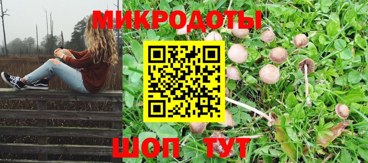 Псилоцибиновые грибы мухоморы Королёв